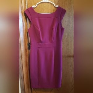 Fuscia The Limited Dress